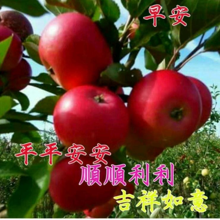 60了少吃点不生气了