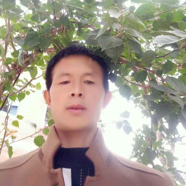 心想事成雷