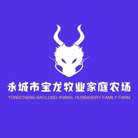 牧羊追光者