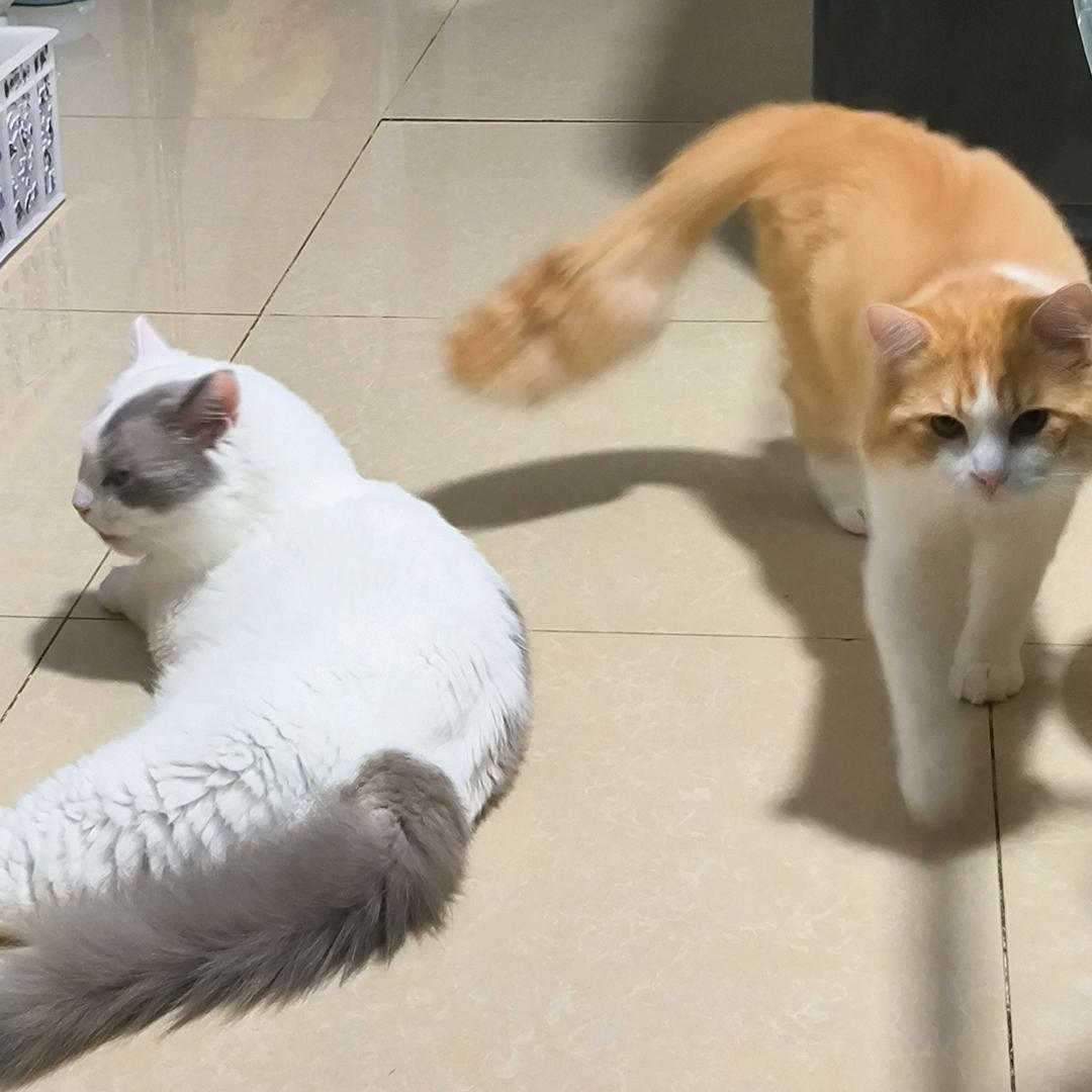重修