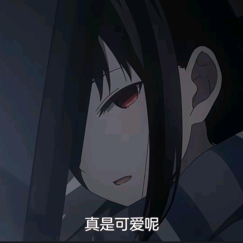 🌈汤汤🌈