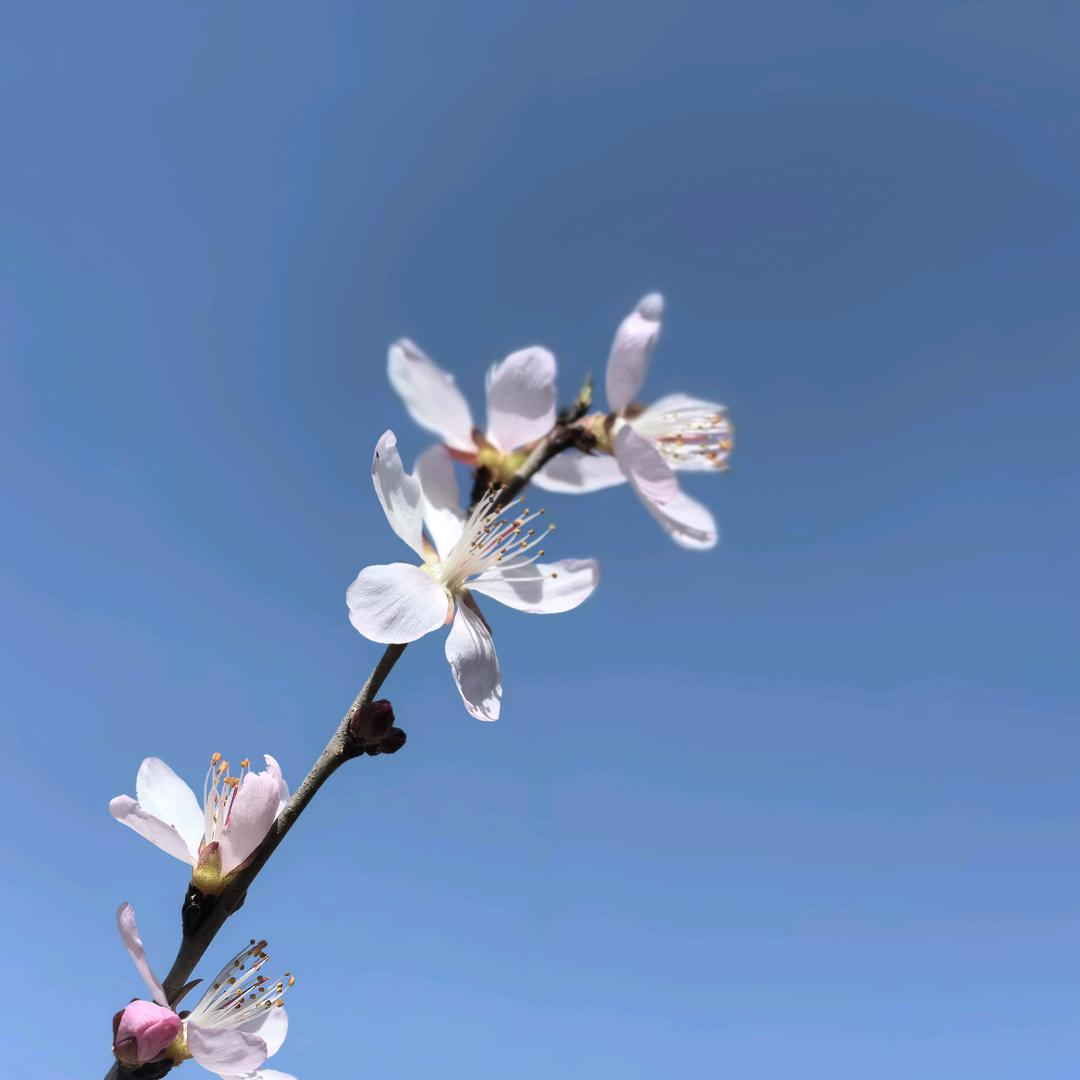 ～海～