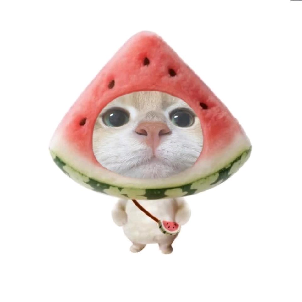 凌晨伤心猫猫🍚