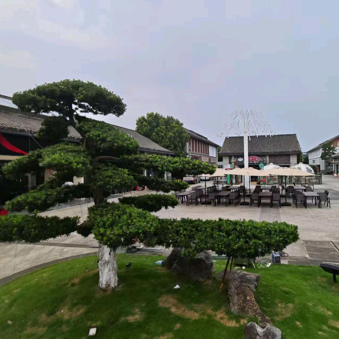 新昌县三合商业运营管理有限公司