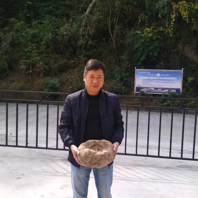 德兴魔芋