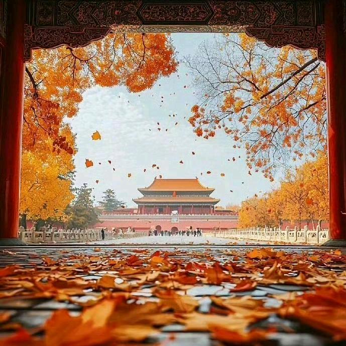 音为有你