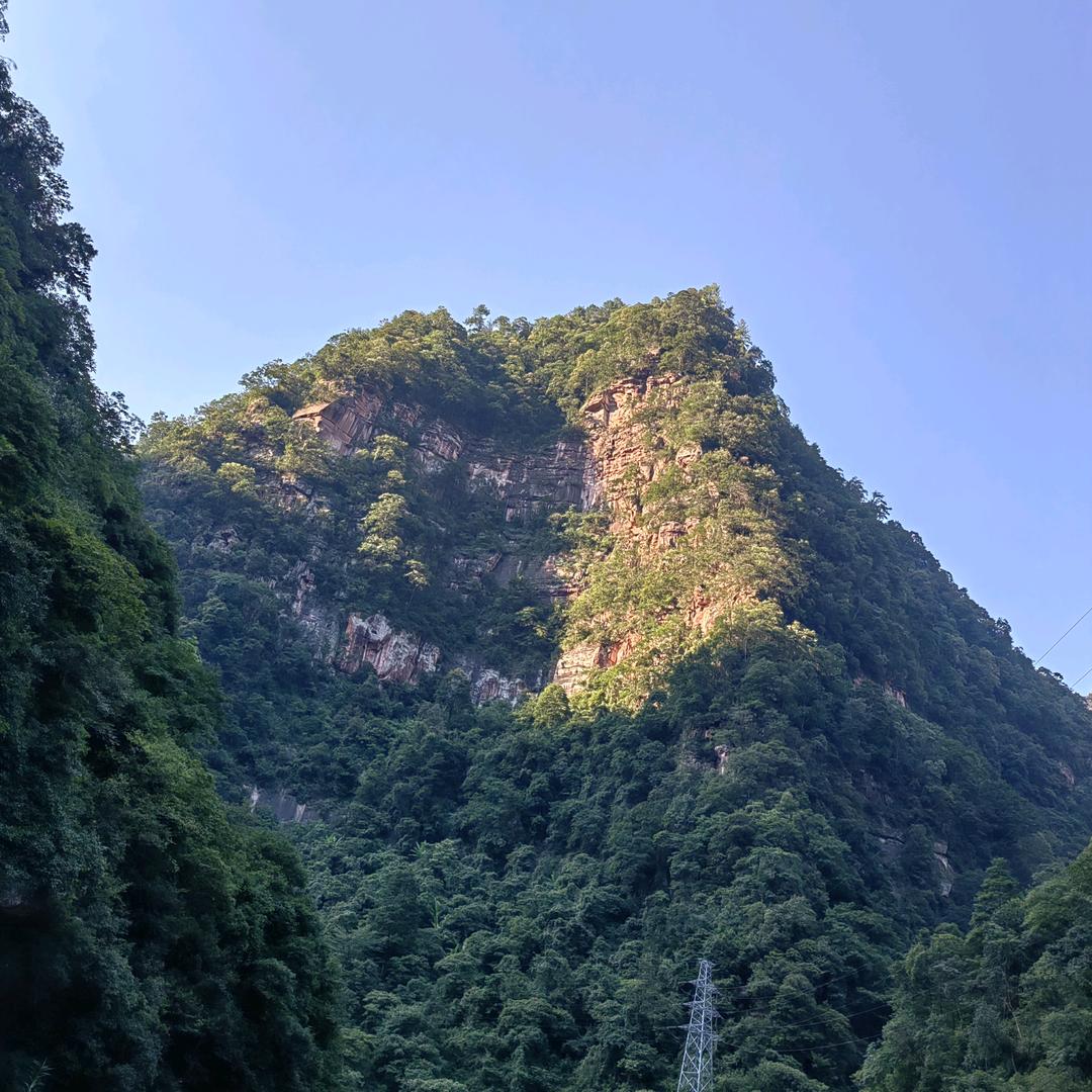 憨憨妹