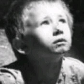 🌈豆腐🐠鱼头汤🌈