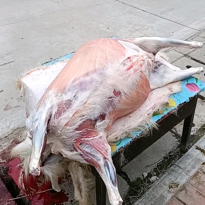 陕北羊肉买开了