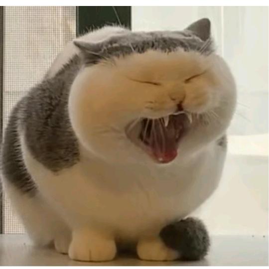 野钓哥 （不定时开播）