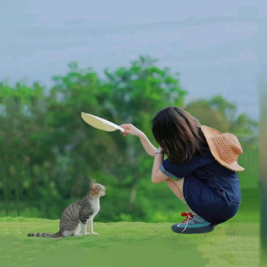 🍉芝士小奶团🍍𖢔꙳𐂂𖥧𖥧