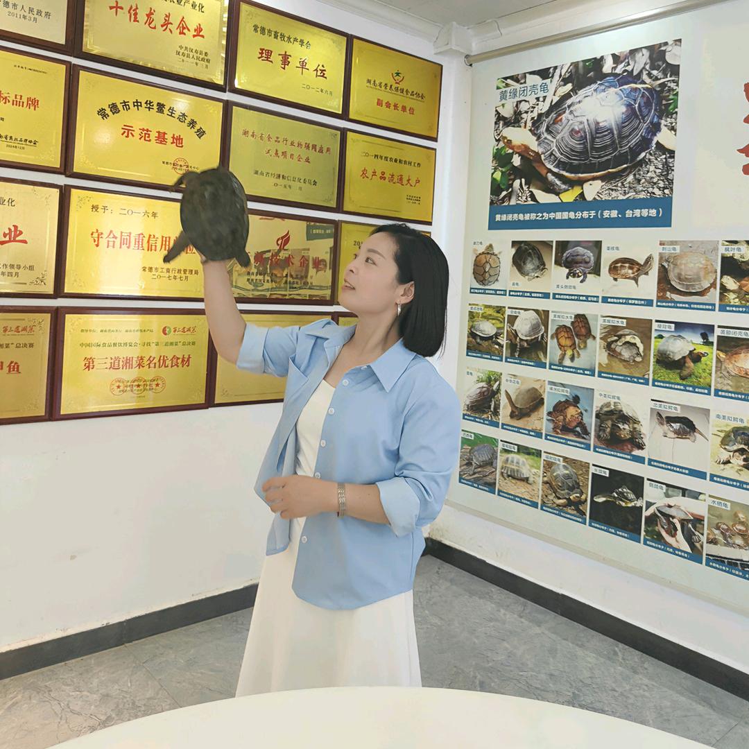 汉寿仙湖甲鱼甲总