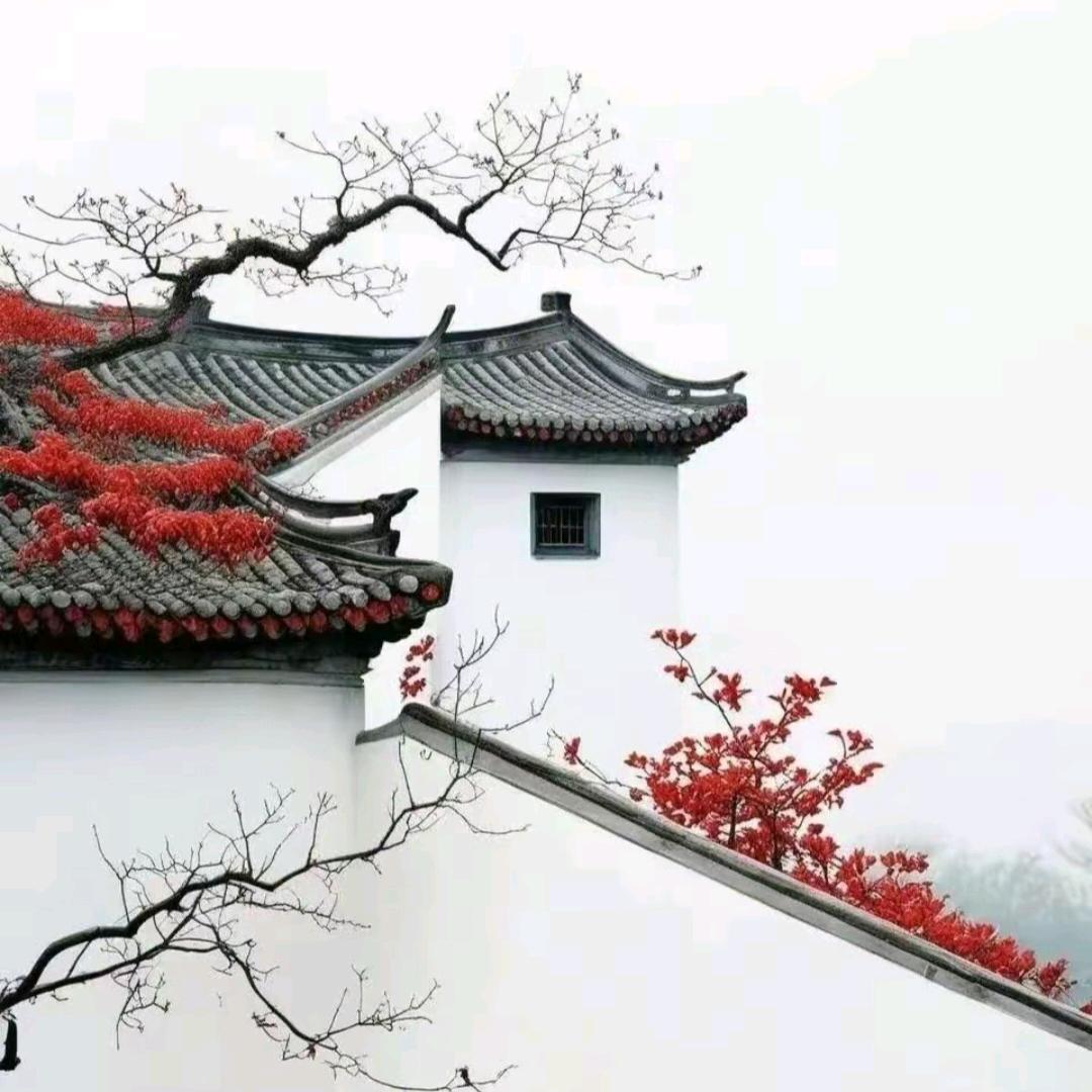 团团