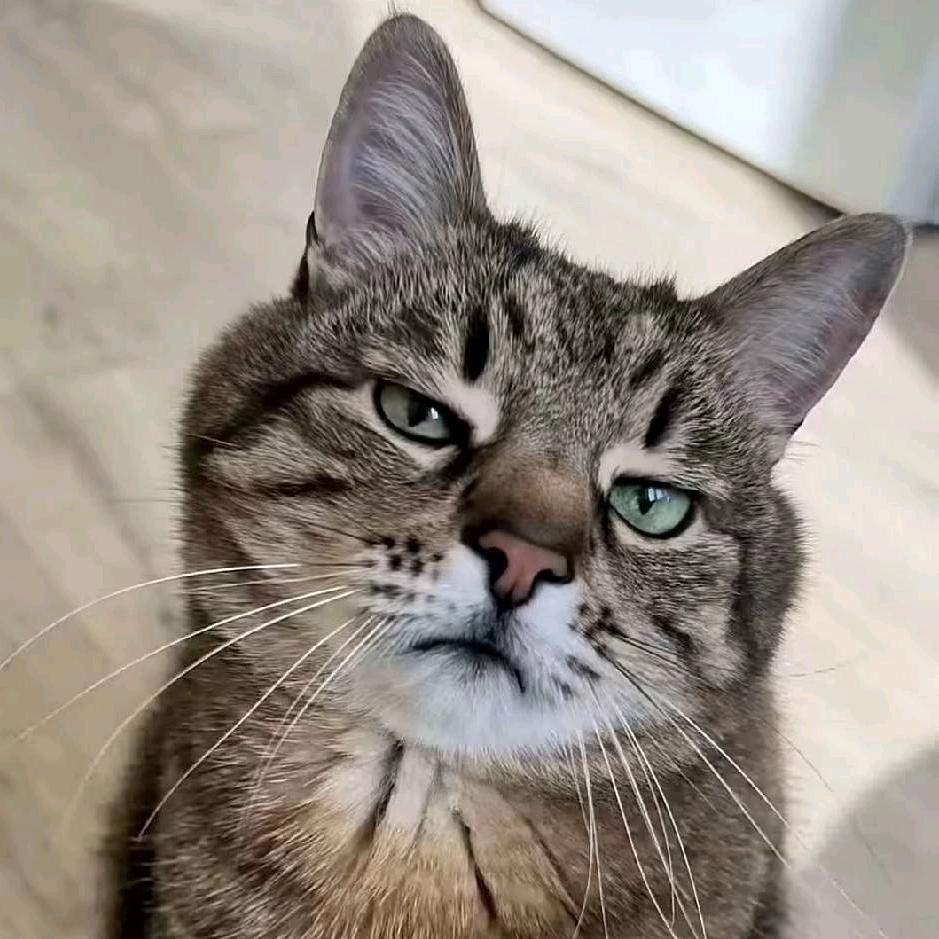 ［鲁囯之王老祖］地铁逃生