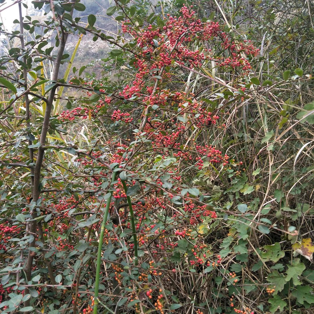 💕ꦿ҉好ᨶ႒ᩚ运ᥫᩣ໌້ᮨ加满✨: