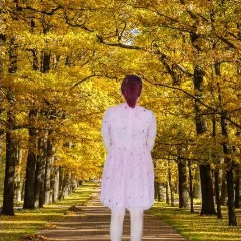 🌹紫🍃🌺薇🌹