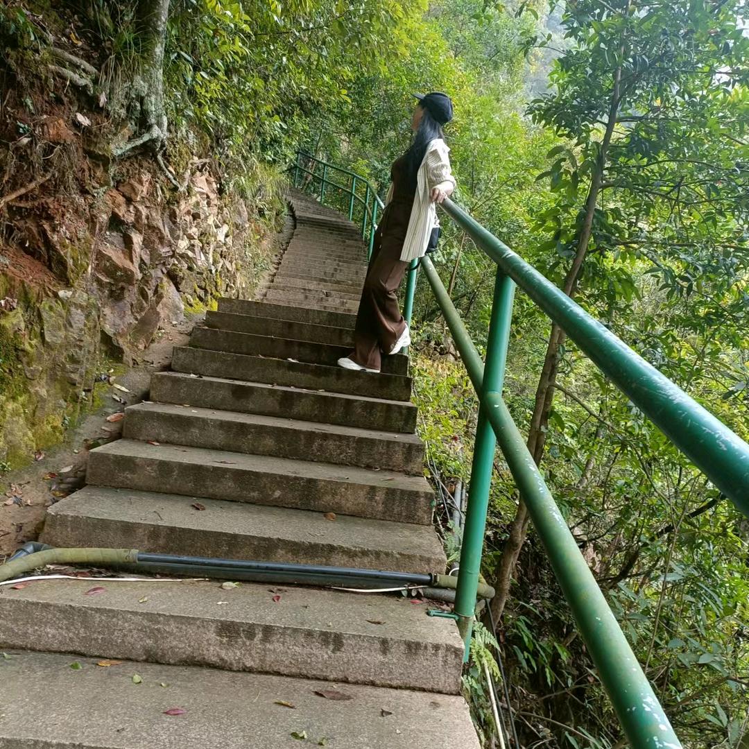 绿叶