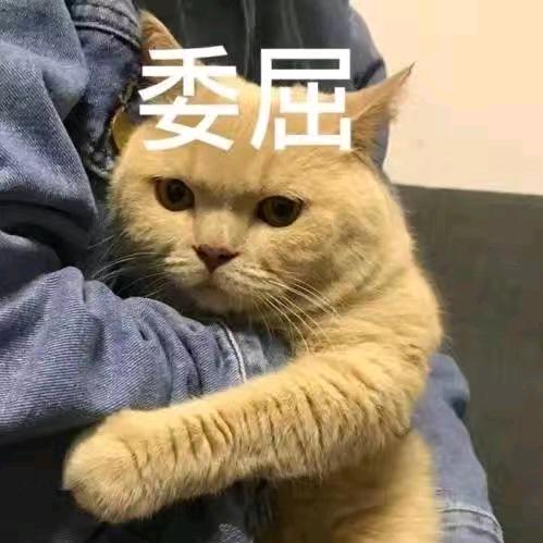 🦢𓆡𓆝 𓆜 求其是但𒀱