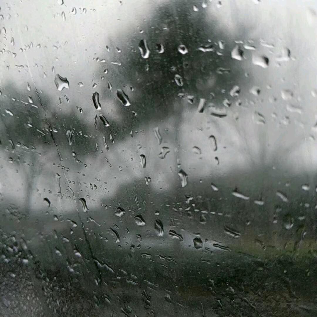 柳陌飘雪