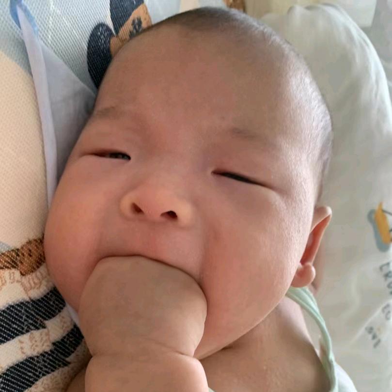 李瓜子（小摇钱树）