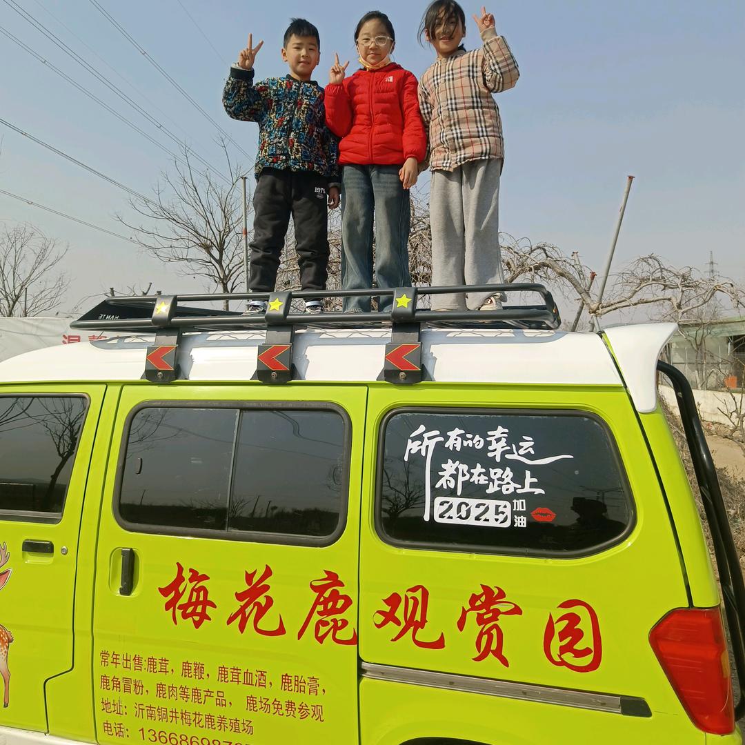 沂南梅花鹿观赏园