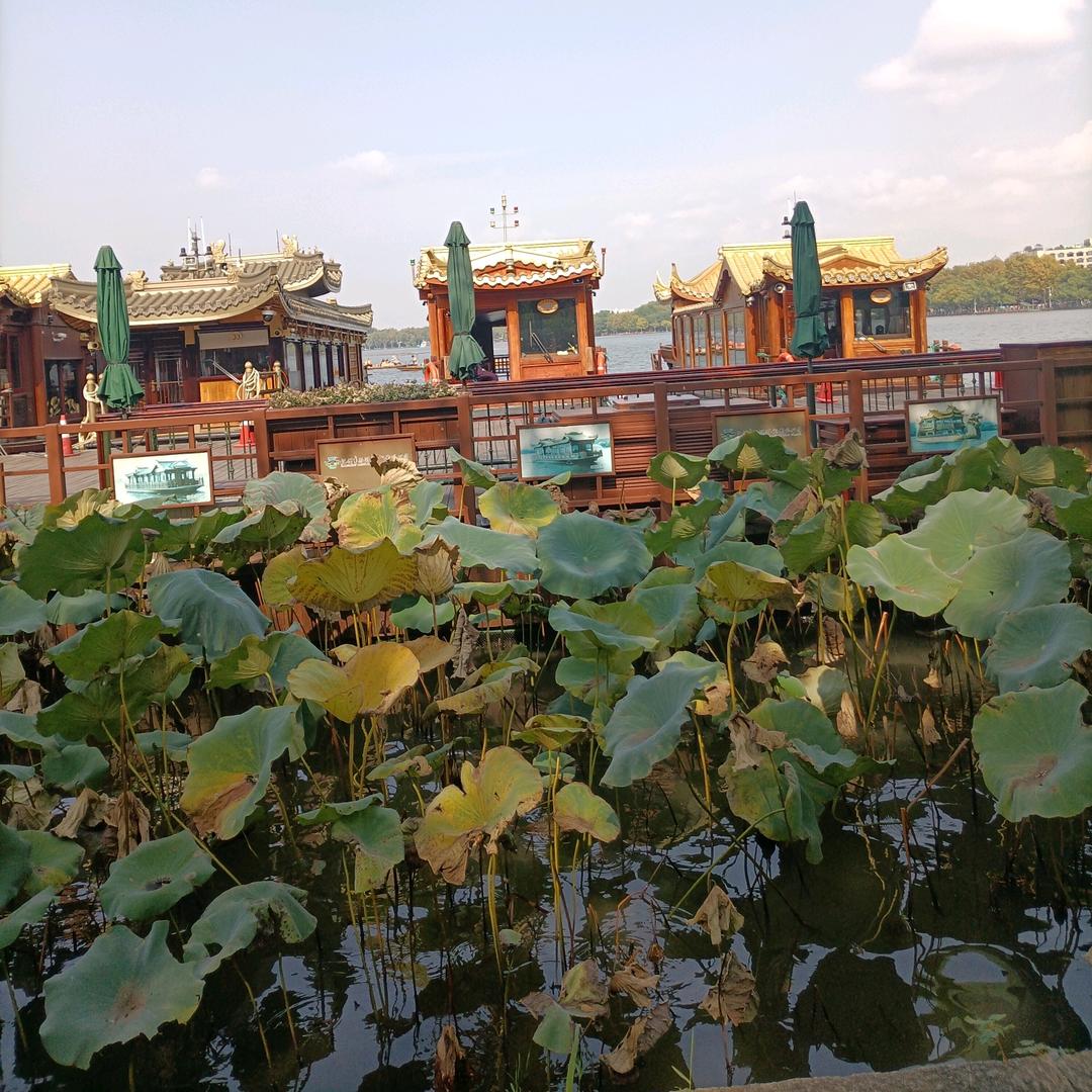 梦，