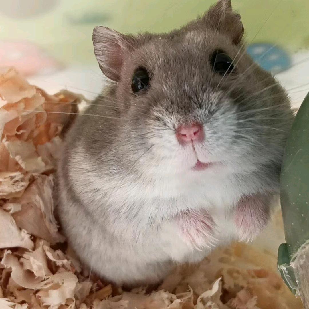 光起脚板踩沙地