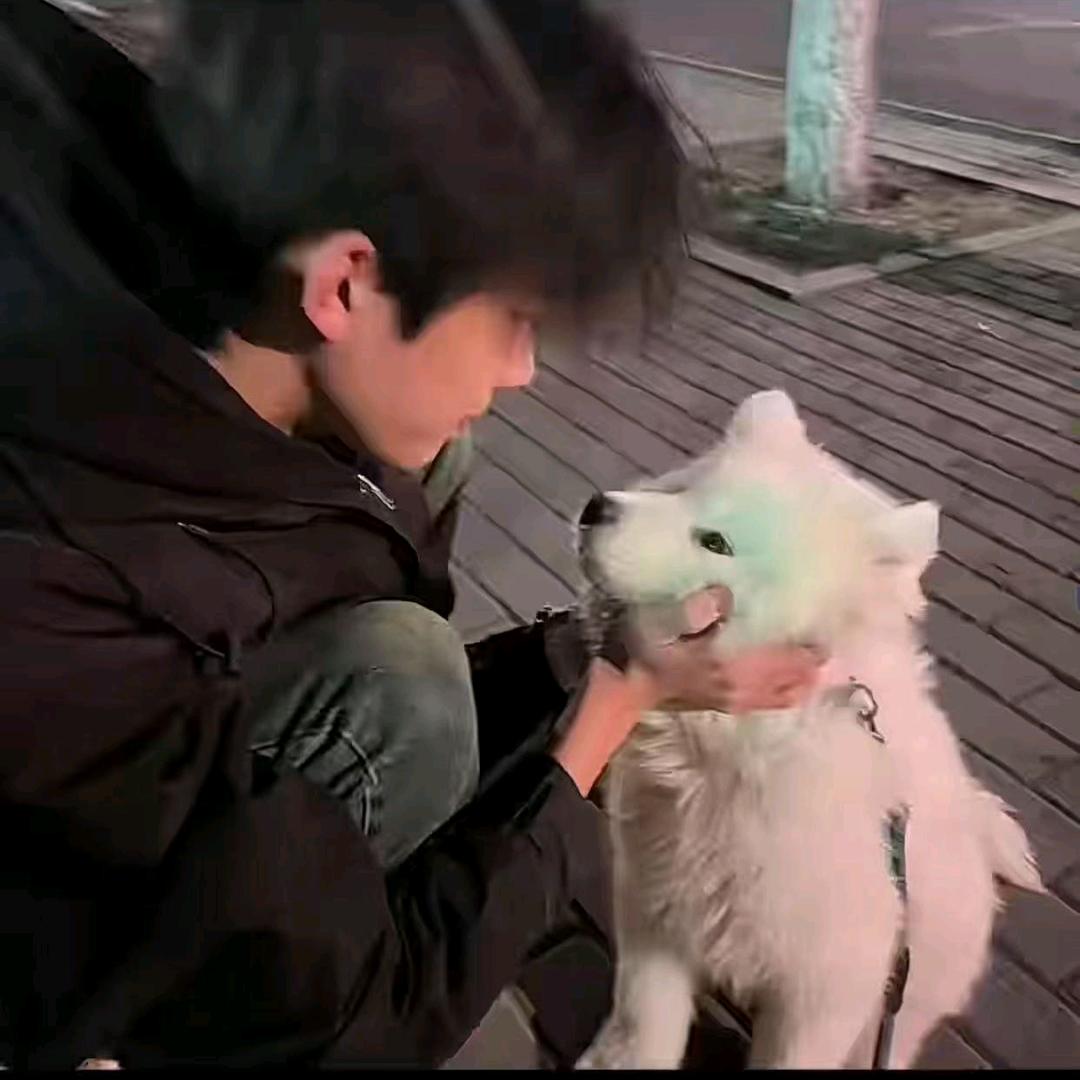 网名十二小时后生效
