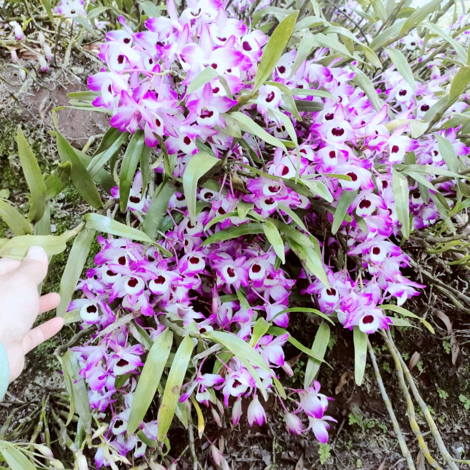 看不透的人心❤️❤️