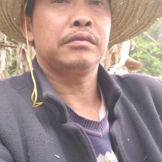王师专修坟墓