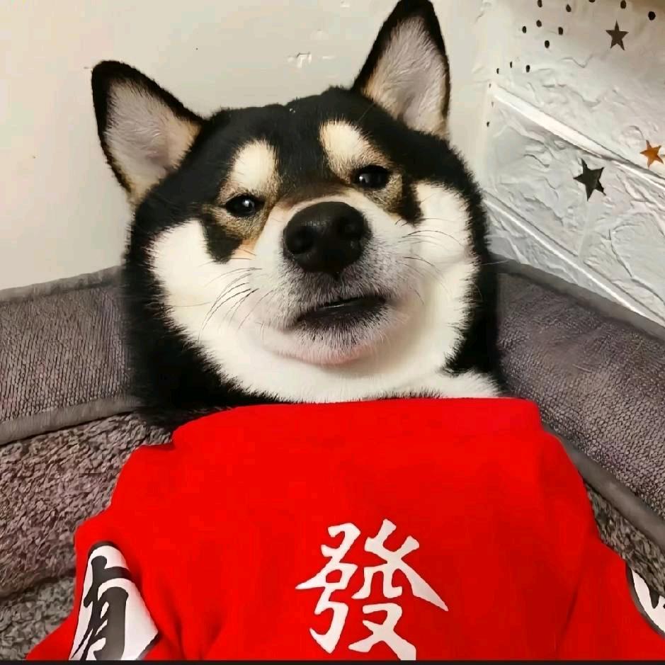 ᝰꫛ运来⁺¹⁰⁰