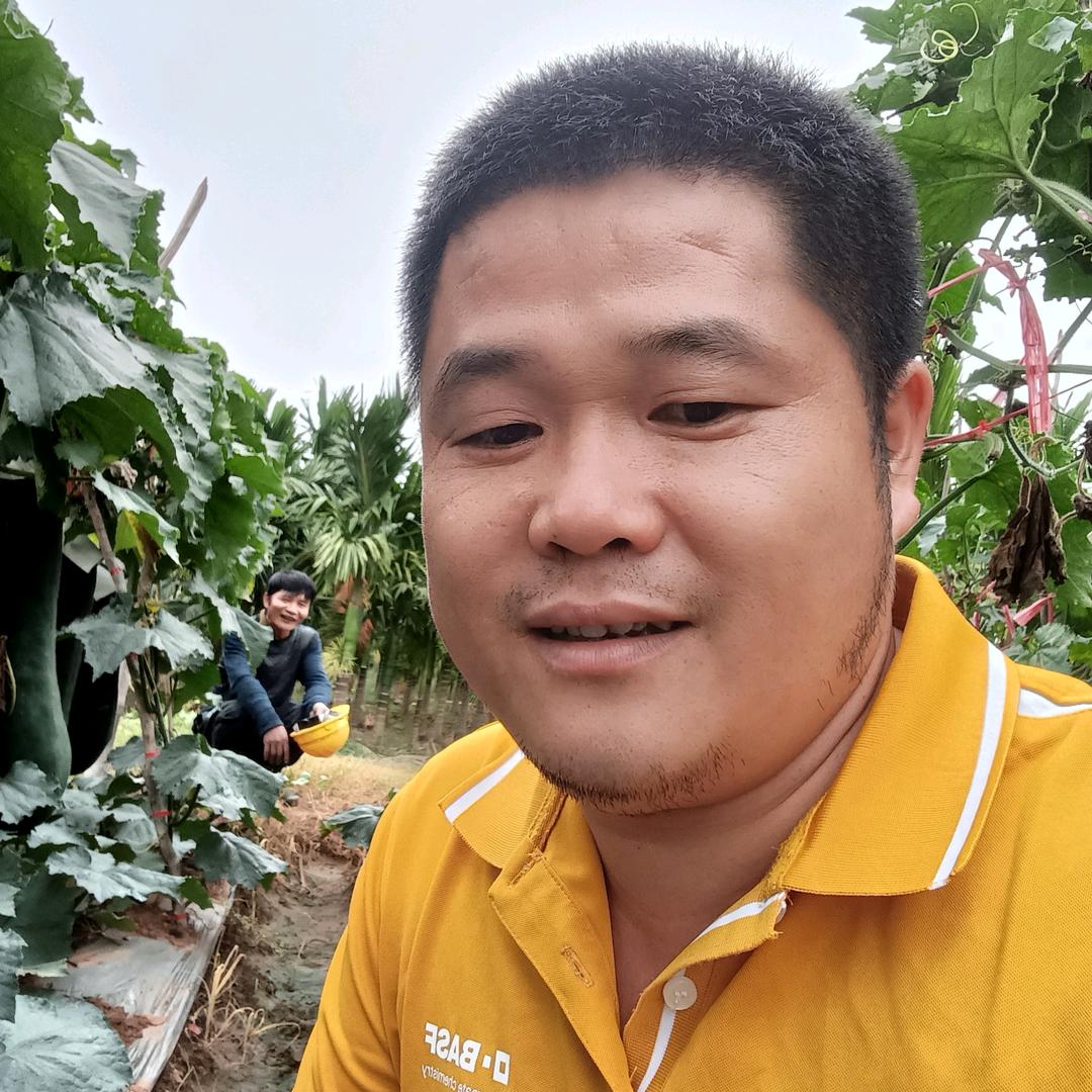 海南澄迈农之子种苗