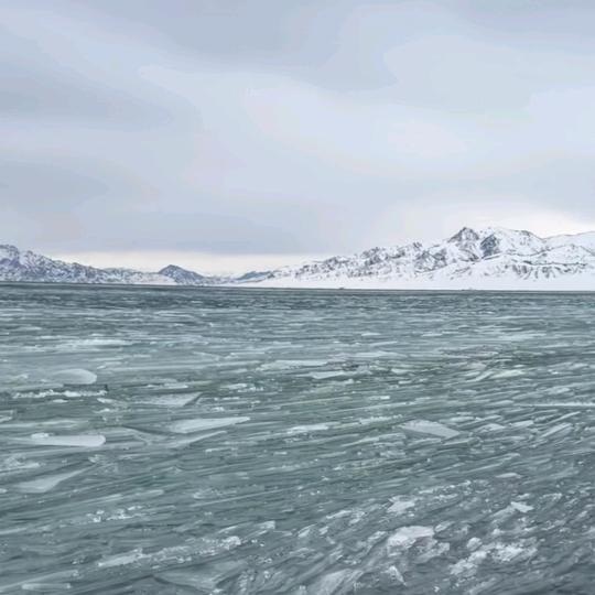 佳惠超市(城区浦厂一村店)宣传号