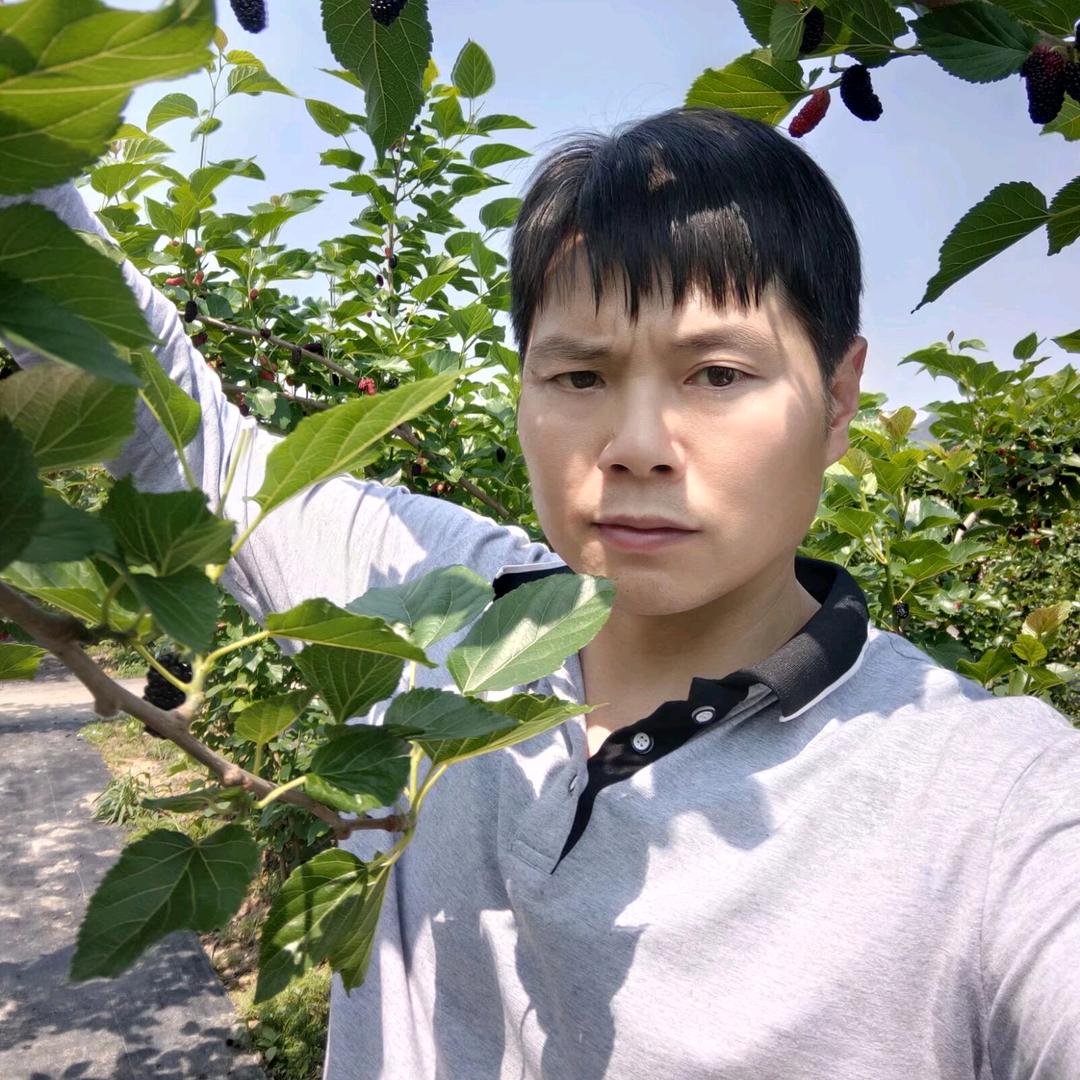贵州发哥