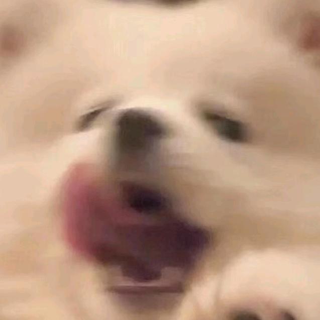 愉九九九九