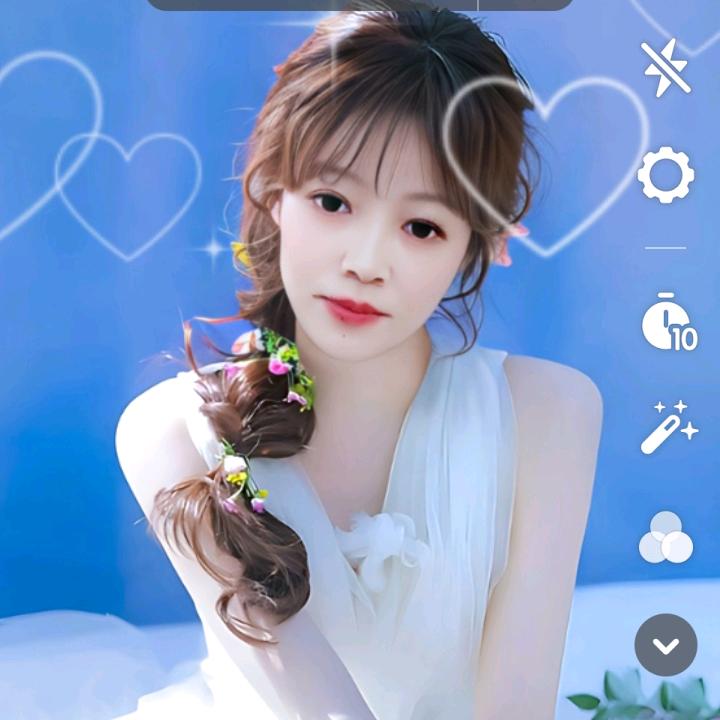 自由的飞翔