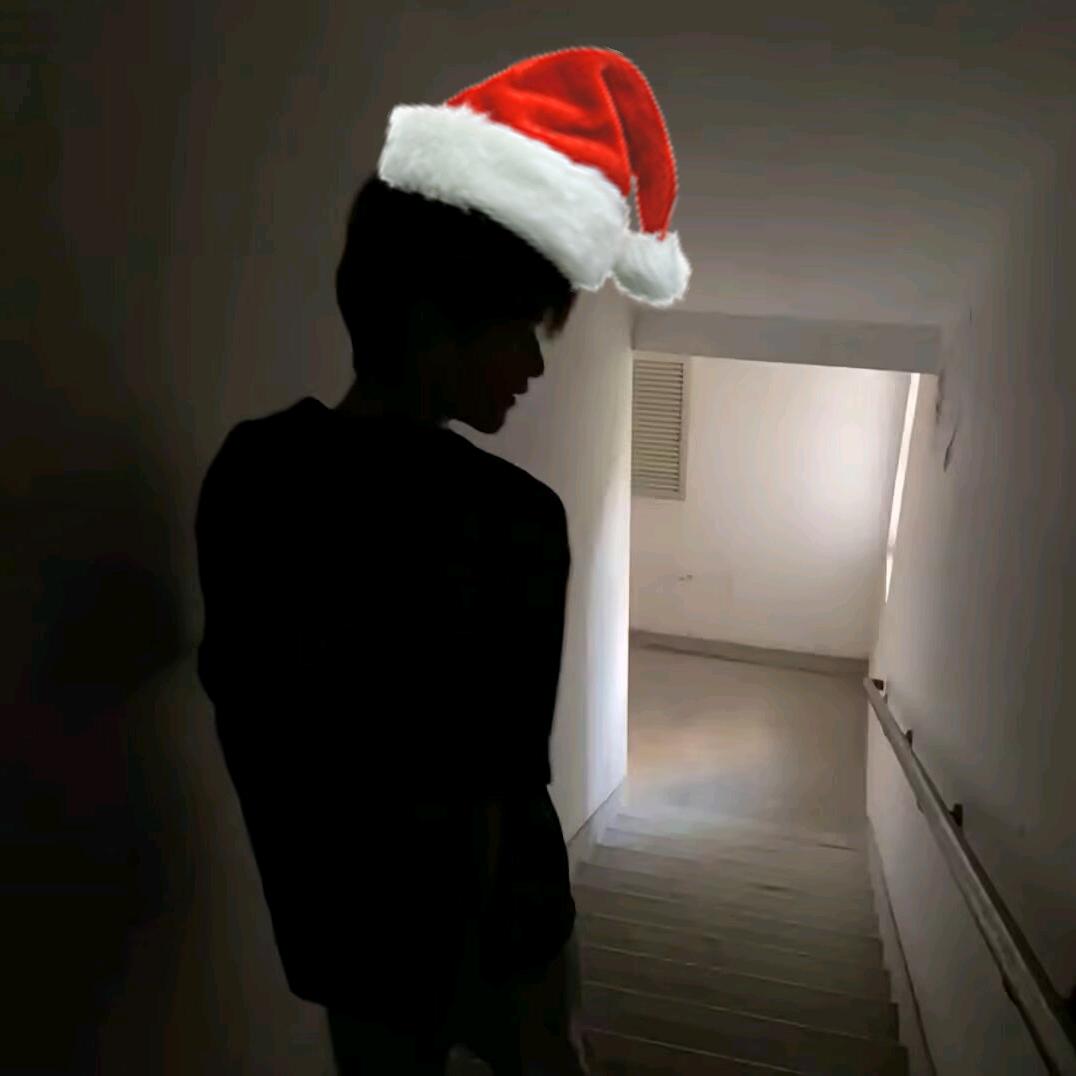 醒魚不语✨🪐️