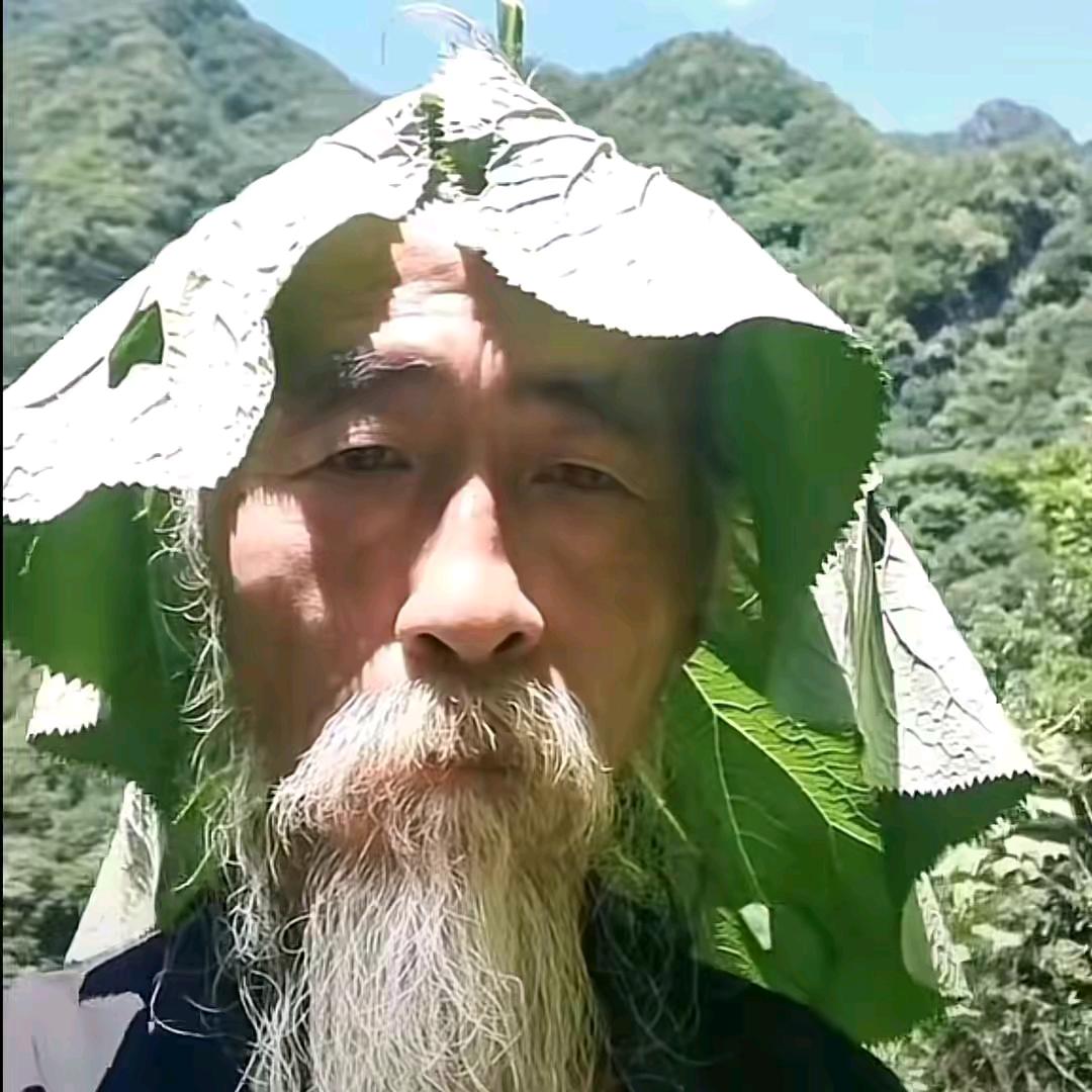 爱吃香菜