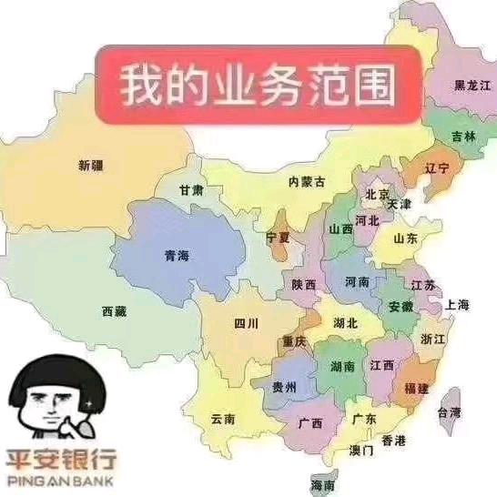 中国平安（专注家庭风控）