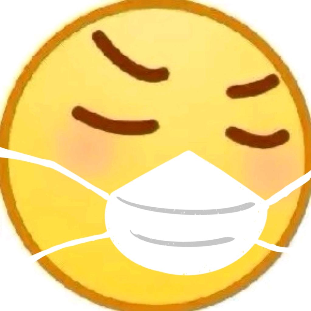 睡觉大王DWD