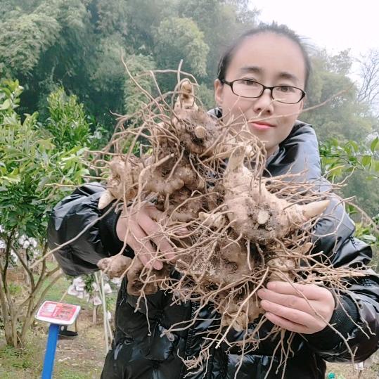 农村小幺妹