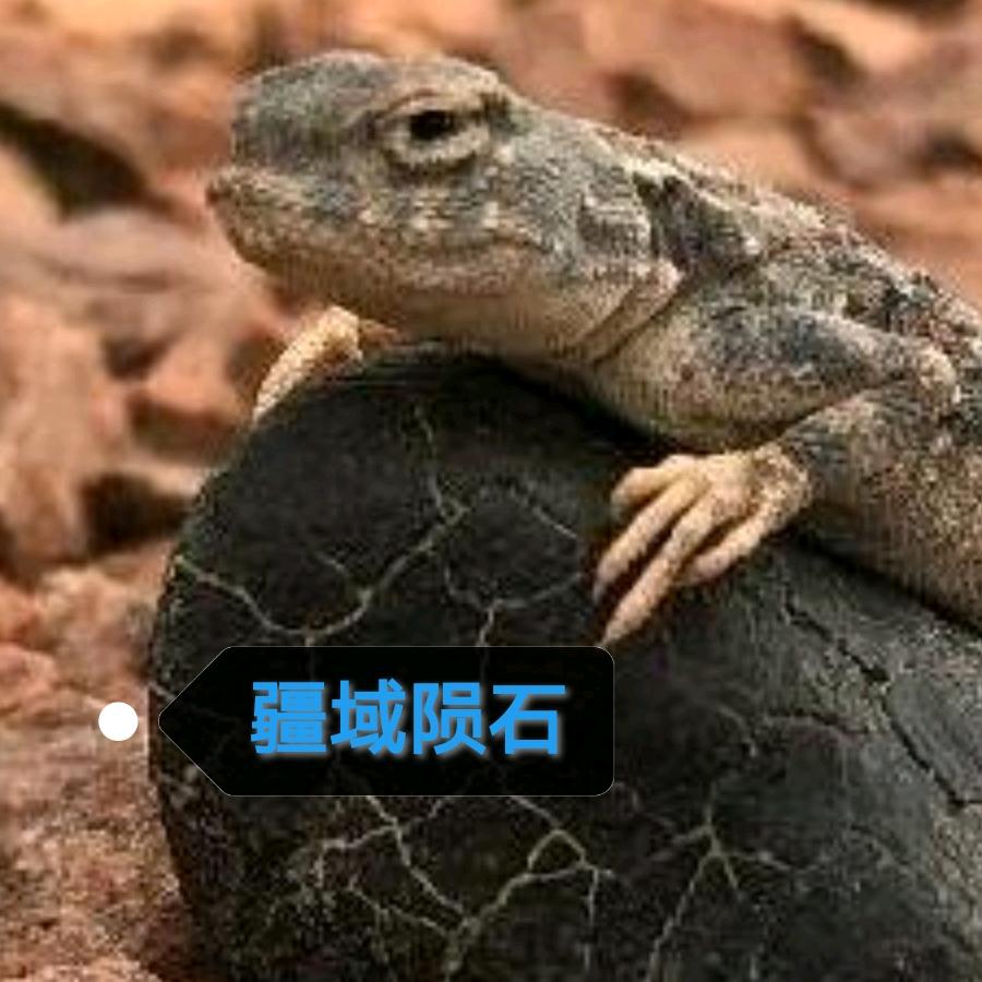 疆域陨石