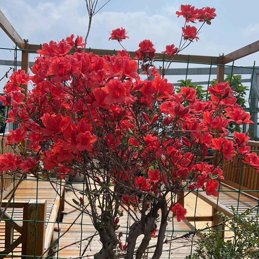 六盘水无名小卒