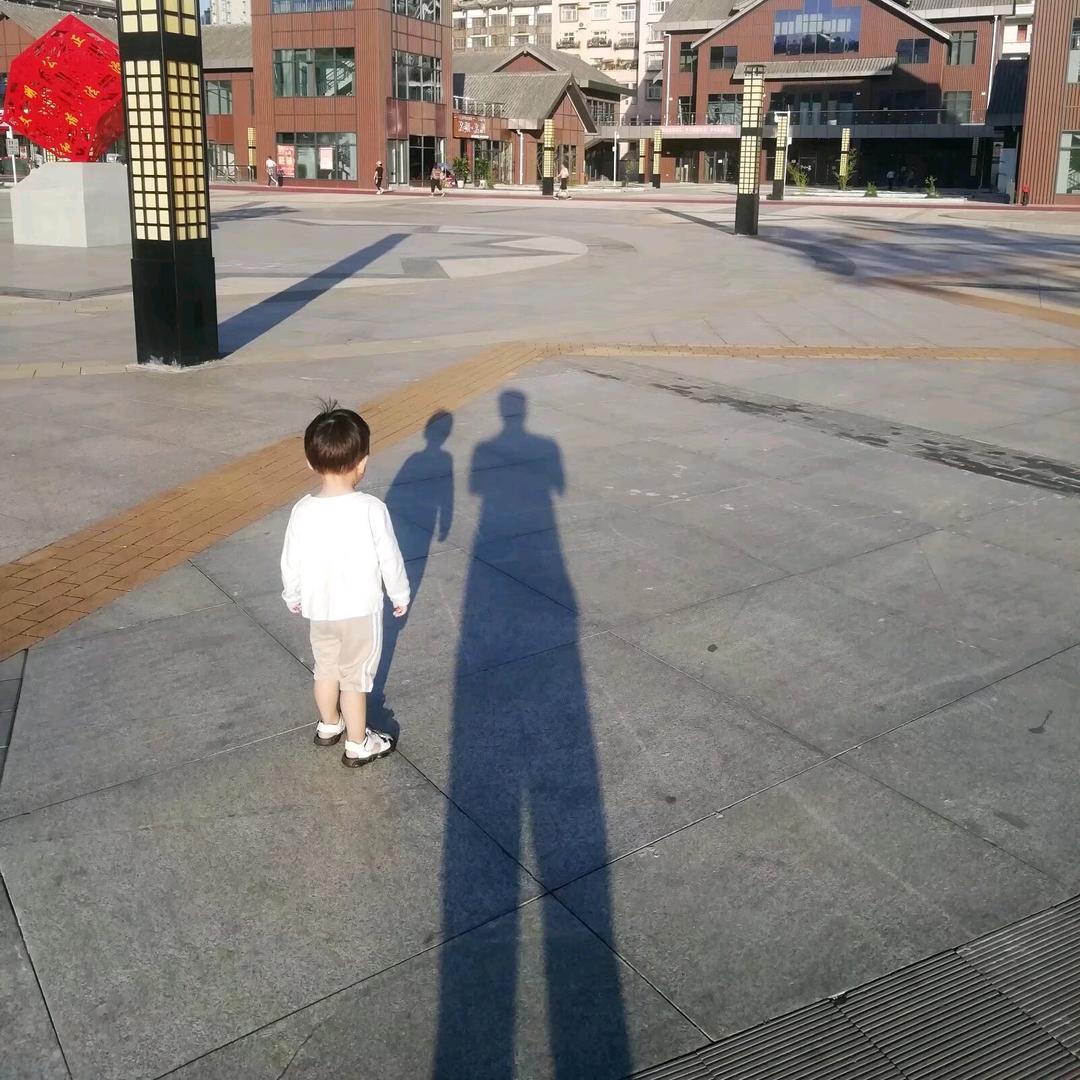 懒杨杨