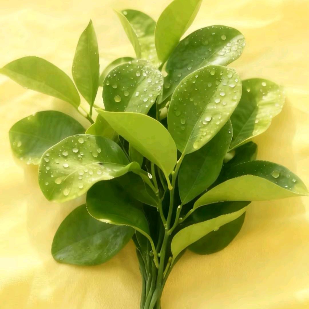 ﾟ岁月ˏᰔᩚ浅浅੭ु