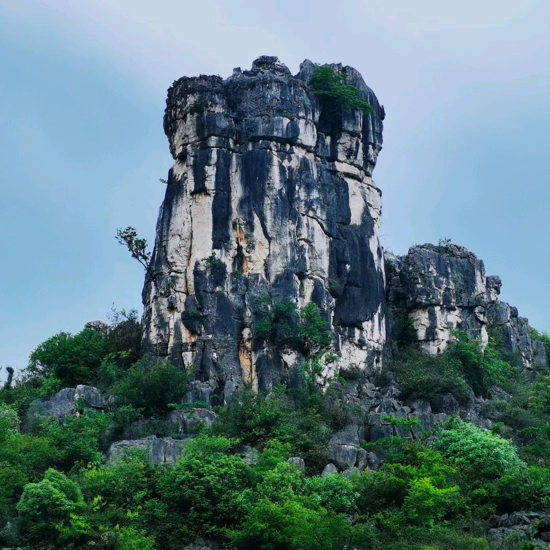 李家辉