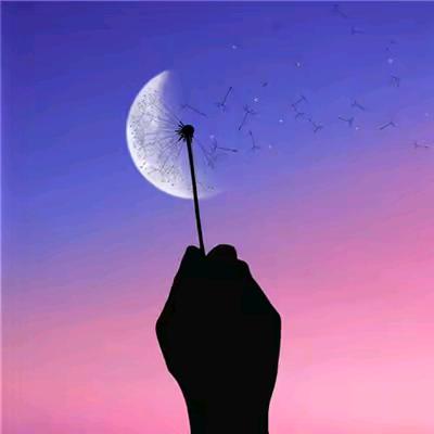 河南小板凳（803小号🔥）🇨🇳