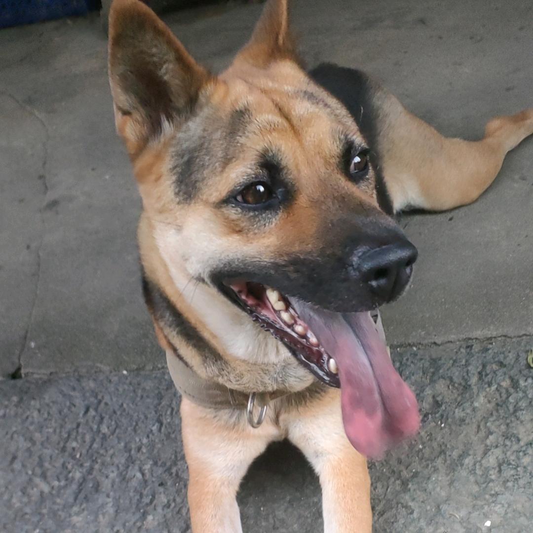 💐丑女💋💋💋