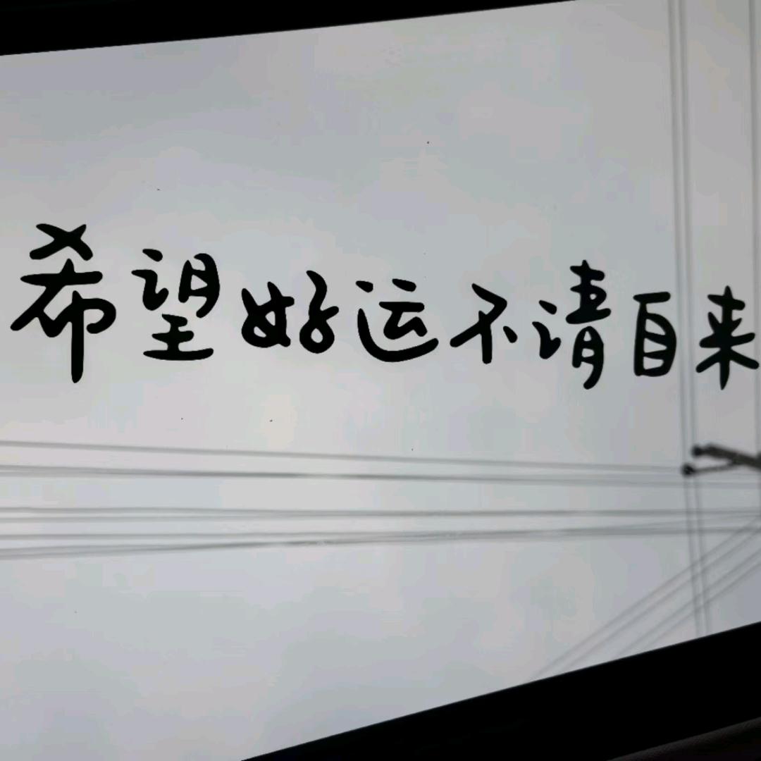 黄芩  陈同学