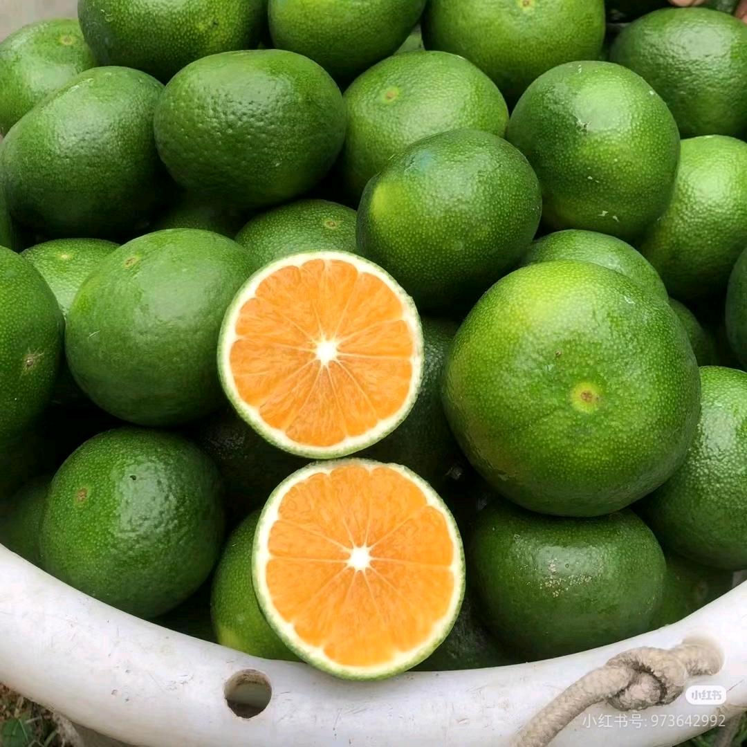 菜菜农场